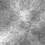 Background Animated****FI Background Animated****FI