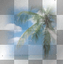 SUMMER.TRANSPARENT.BLUE.BEACH.SKY