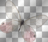 LATO SUMMER  TRANSPARENT DECO BUTTERFLY PINK