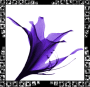 Flower Flower