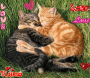 Les chats amoureux !