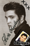 .-.elvis.-.