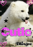 polar bear!