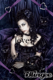 cat-lover cat-lover