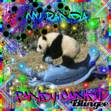 !! My panda!!--->[Pandy Candy]