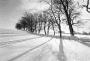 snow