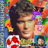 Le beau David Hasselof