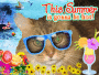Ginger on Vacation