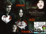 the cullens