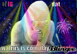 Anoyed pollar bear