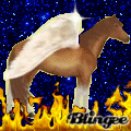 Bonfire