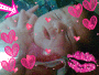 baby martina