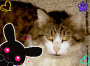 Tigrou