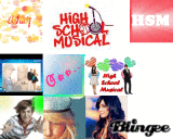hsm z .a. v.