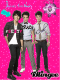 jonas brothers