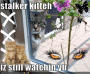 The Stalker is stil watchin yu ----KNOW!!!! ^^