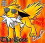 AwesomeJolteon