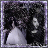 the bride and the black widow