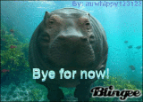 Bye for now