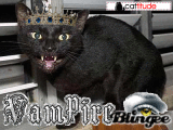 Vampire Kitty