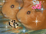 Coockiechan
