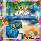 paradisia parrot