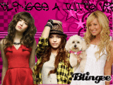 BlInGeE a TuTtO vIp