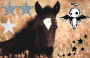 100% horses