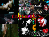 crepusculo
