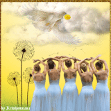 Dandelion Eagle Dance Dandelion Eagle Dance