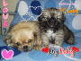Cuties!!!