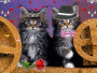 Amo animais