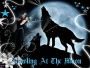 howling at the moon... howling at the moon...