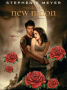 bella e jacob