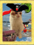 AHOY Mates!!!