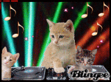 in der disco in der disco