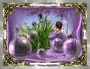 PURPLE DREAMS... PURPLE DREAMS...