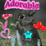 Cute little bunny