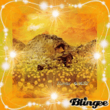 Gackt -- Orange Dream (Flower CD Cover)