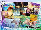 Les chevaux, des bautées...de toutes races et de...toutes couleurs !!!
