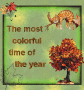 The most colorful time of the year.. Autumn ♥