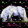 Seeing Spots