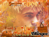 fall with jesse mccartney