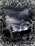 black wolf