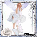 Fairy