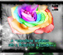 A Beautiful Flower for a beautiful Friend
