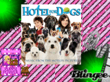 dogs