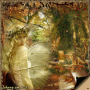 ~ Série Automne #23 : La Forêt Enchanté ~ { #47 Best Automne blinge } 