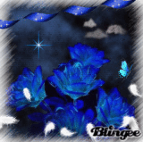 Blue Roses
