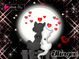 Purrr-fect Love